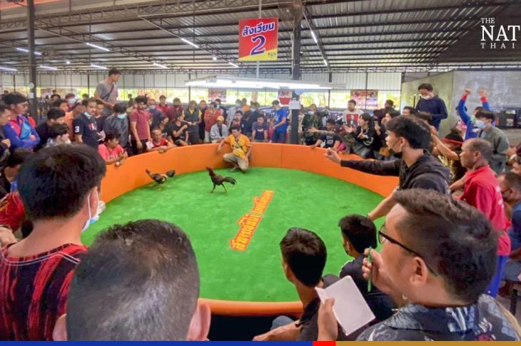 Thailand About to Reopen its Betting on Animal Races and Fights