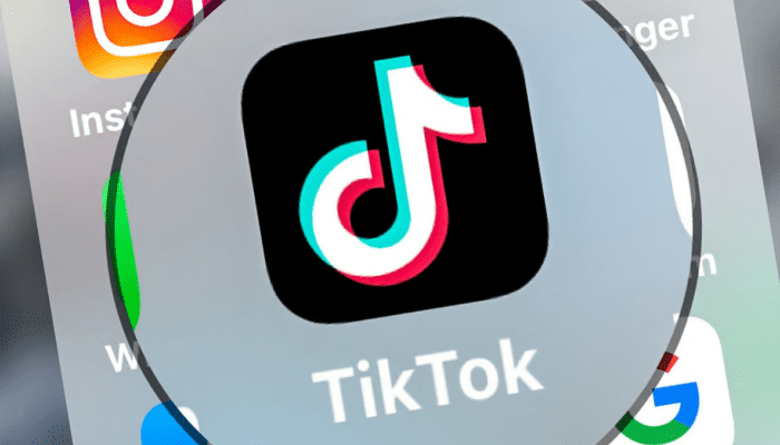 TikTok Bans: ‘Not Possible’ for Japan to Outlaw China-Linked App – Except ‘Quietly’ on Official Devices