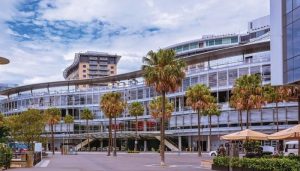 Star Sydney Admits Shortcomings, Seeks Conditional Casino License Renewal