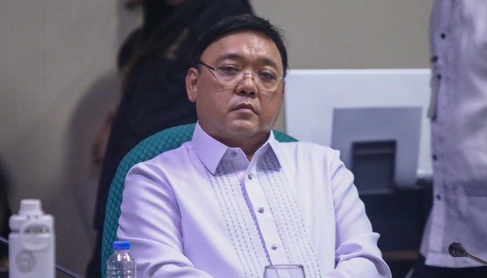 Harry Roque to be Investigated by PAOCC Over Benguet Raid