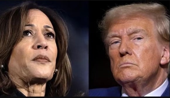 What The Betting Markets Say About The Trump-Harris Polls (as of Nov 6 in Asia)